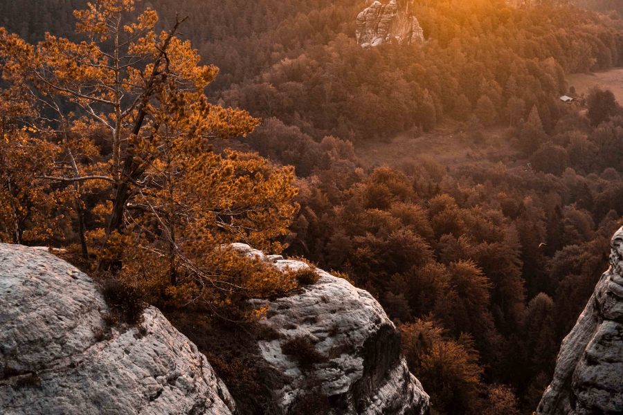 Bastei Sachsen Deutschland