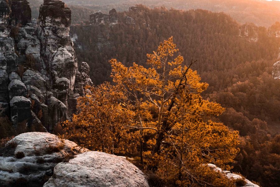 Bastei Sachsen Deutschland