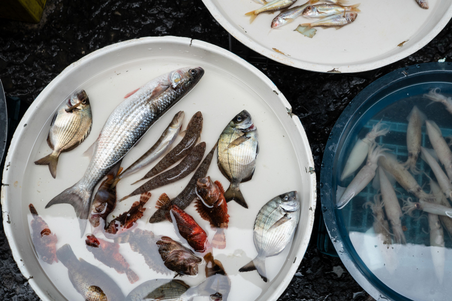 Neapel Fischmarkt Italien